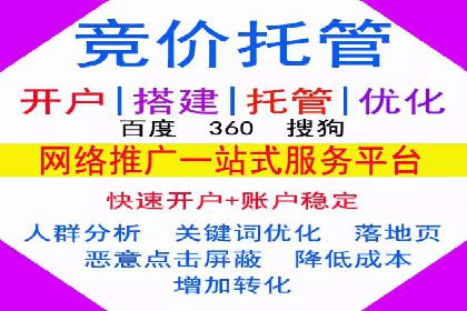 百度竞价推广运营策略：成功案例解析